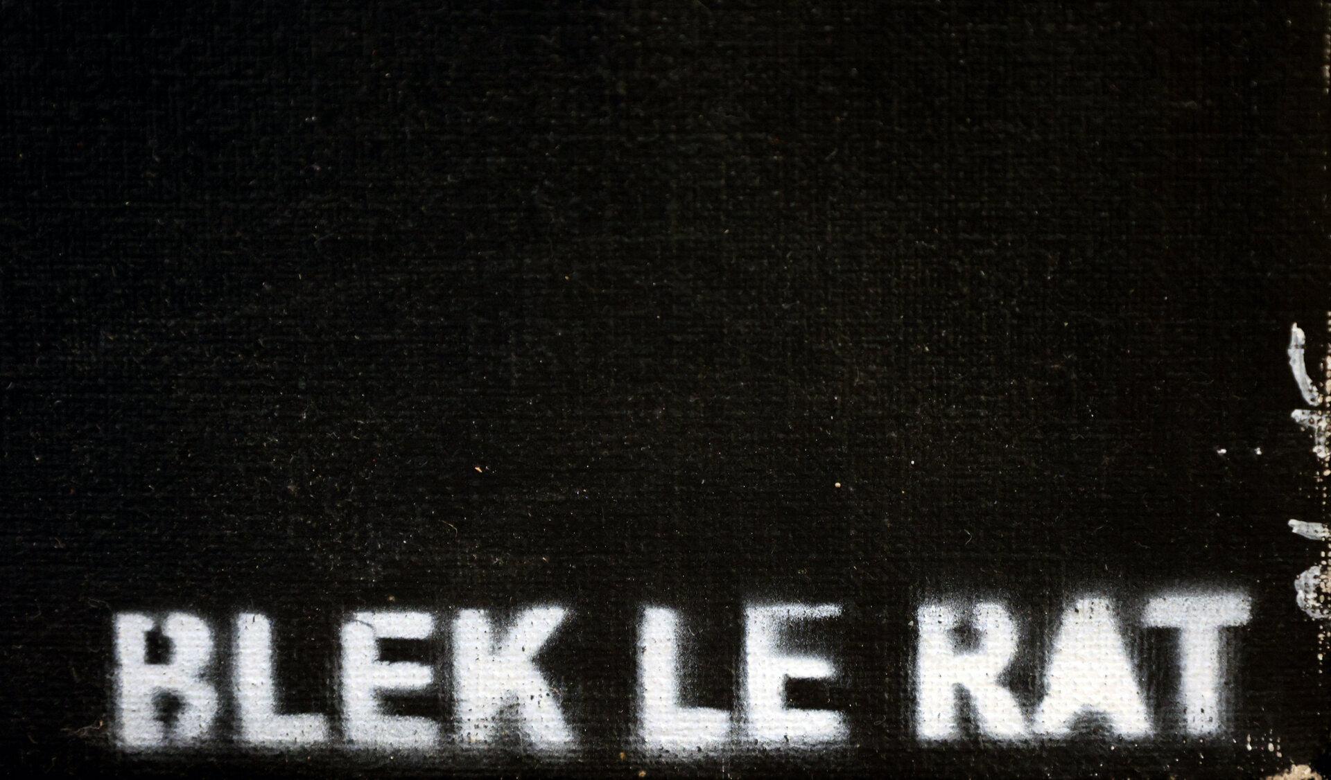 What Has Been Seen Cannot Be Unseen, 2010