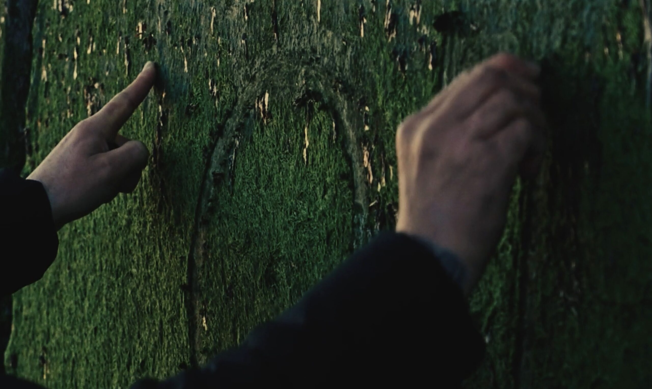 Gary Stranger gathering material from the landscape